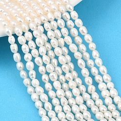 Кукурузный Шелк Нити из натурального культивированного пресноводного жемчуга, рис, класс 3а++, цвет колоса кукурузы, 3.5~4 мм, отверстие : 0.5 мм, около 75~77 шт / нитка, 13.58~13.78'' (34.5~35 см)