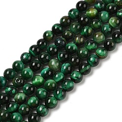 Green Grade AB Natural Tiger Eye Beads Strands, Dyed & Heated, Round, Green, 6mm, Hole: 1.2mm, about 61~64pcs/strand, 14.69~15.24''(37.3~38.7cm)