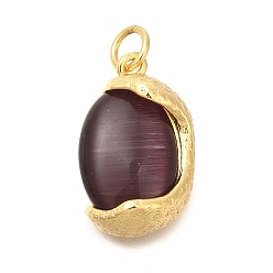 Egg Латунные подвески, с кошачий глаз, реальный 14 k позолоченный, яйцо, 18.5x11x6 мм, отверстие : 3 мм