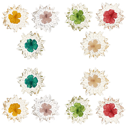 Gemischte Farbe 12 Stück 6 Farben transparente klare Epoxidharz-Cabochons, mit getrockneten Blumen im Inneren, Blume, Gemischte Farbe, 32~35x6 mm, 2 Stk. je Farbe
