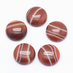 Полосатый Агат Кабошоны с агатом, плоско-круглые, окрашенные, 16x6 мм