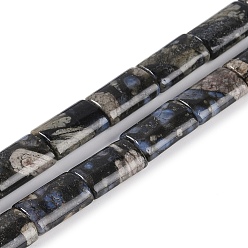 Glaucophane Бусы из натурального глаукофана, прямоугольные, 16x10x5.5 мм, отверстие : 1 мм, около 25 шт / нитка, 15.94 дюйм (40.5 см)