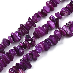Purple Natural Freshwater Shell Beads Strands, Dyed, Chips, Purple, 2~6x4~14x4.5~8.5mm, Hole: 0.7~0.8mm, about 258~292pcs/strand, 31.10 inch~32.05 inch(79cm~81.4cm)