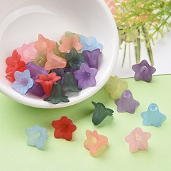 Mixed Color Transparent Acrylic Beads, Frosted, Flower, Mixed Color, 17.5x12mm, Hole: 1.5mm, about 770pcs/500g