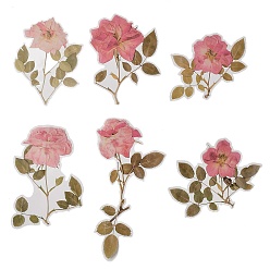 Светло-Вишневый 6 шт. растительные клейкие водонепроницаемые наклейки для домашних животных, Украшение дневника для фотоальбома своими руками, цветок, светло-вишневый, 97~200x105~135x0.1 мм