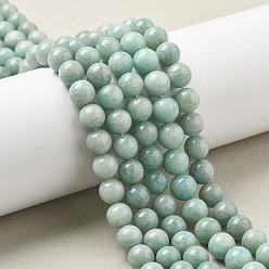 Амазонит Природных амазонит бисер нитей, круглые, 8 мм, отверстие : 1 мм, около 51 шт / нитка, 15.55 дюйм (39.5 см)