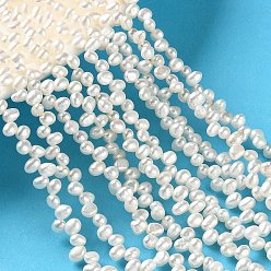 Old Lace Natural Cultured Freshwater Pearl Beads Strands, Top Drilled, Two Sides Polished, Grade 5A+, Old Lace, 3.5~4mm, Hole: 0.5mm, about 109pcs/strand, 14.96''(38cm)