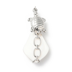 Stainless Steel Color Natural White Shell Pendants, Teardrop Charm, with 304 Stainless Steel Tortoise Findings and Jump Ring, Stainless Steel Color, 35~44x18~20x8~10mm, Hole: 3mm