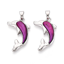 Фиолетовый Подвески из сплава и окрашенных натуральных раковин морского ушка, прелести дельфинов, платина, фиолетовые, 30~30.5x19~19.5x4 мм, отверстие : 6.5x4 мм