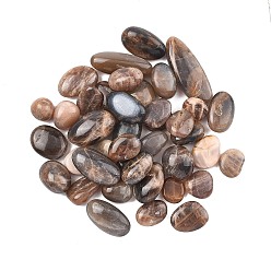  Натуральный бисер, обваленные камни, нет отверстий / незавершенного, самородки, 15~40.5x11~20x7~19 мм