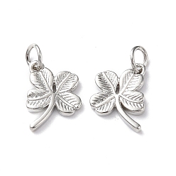 Платина Стойки обшивки латунные прелести, с целью перехода в кольце, без свинца и без кадмия, клевер очарование, платина, 12x10x2 мм, отверстие : 3 мм