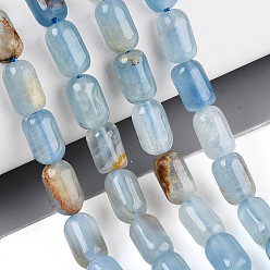 Кальцит Нити из натурального голубого кальцита, колонка, 8~9.5x5.5~6.5 мм, отверстие : 0.9~1 мм, около 20~21 шт / нитка, 7.09~7.68 дюйм (18~19.5 см)