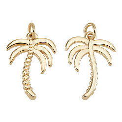 Настоящее золото 18K 20 латунные подвески шт., с прыжковых колец, пальма, реальный 18 k позолоченный, 16.5x12x2 мм, Перейти кольцо: 4x1 мм, отверстие : 2 мм