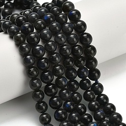 Лабрадорита Натуральные черные лабрадоритные бусинки, круглые, 8 мм, отверстие : 0.7 мм, около 48 шт / нитка, 15.35 дюйм (39 см)