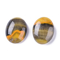 Bumblebee Jasper Натуральные кабошоны из яшмы шмеля, овальные, 20x15x6 мм