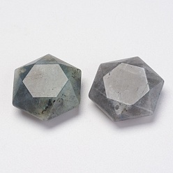 Лабрадорита Природные подвески лабрадорита, шестиугольник, 28~29x25x9~10 мм, отверстие : 1.5 мм