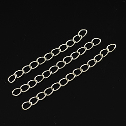 Platinum Iron Ends with Twist Chains, Cadmium Free & Lead Free, Platinum, 50x3.5mm, Links: 5.5x3.5x0.5mm