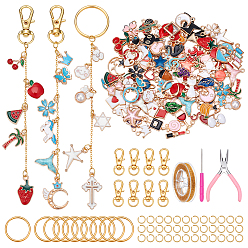 Oro Kits de fabricación de llavero diy, Incluyendo alicates de punta fina de acero, punzones de talón de hierro, cierres de pinza de langosta del eslabón giratorio de aleación, Cadenas portacables de hierro recubiertas de latón, 304 argollas de acero inoxidable, Colgantes de la aleación del esmalte, dorado, 8~23x4.5~18.5x1.5~4.5 mm, agujero: 1.4~2 mm