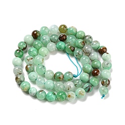 Chrysoprase Natural Chrysoprase Beads Strands, Round, 8mm, Hole: 0.9mm, about 46~49pcs/strand, 15.16''~15.75''(38.5~40cm)
