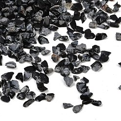 Снежный Обсидиан Природные снежинка обсидиан бисером, без отверстия , чип, 3~8x3~4.5x0.1~3 мм, Около 7142~20000 шт / 1000 г