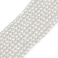 Белый Гальванические оболочки жемчужные бусы пряди, рис, белые, 3x2.5 мм, отверстие : 0.8 мм, около 119 шт / нитка, 15.94'' (40.5 см)