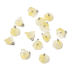 Желтый Стеклянные прелести, цветок, с латунной петлей платинового тона и блестящей пудрой, градиент цвета, желтые, 10.5x11 мм, отверстие : 2 мм