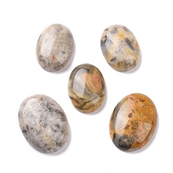 Crazy Agate Natural Crazy Agate Cabochons, Oval, 25~30x15~22x6~8mm