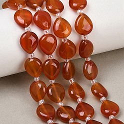 Красный Агат Природного сердолика нитей бисера, окрашенная и подогревом, квартира слеза, с бисером, 11~12x10x4.5~5 мм, отверстие : 0.8 мм, около 29 шт / нитка, 15.67'' (39.8 см)