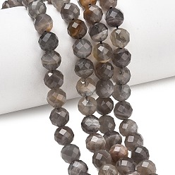 Black Moonstone Натуральный черный лунный камень бисер пряди, класса AB, граненый (64 граней), круглые, 8 мм, отверстие : 1 мм, около 51 шт / нитка, 15.16'' (38.5 см)