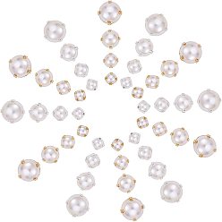 Golden & Silver Sew on Acrylic Imitation Pearl, Montee Beads, Two Holes, Garment Accessories, Half Round, Golden & Silver, 4.5x3.5mm, 5.5x3.5mm, 7.5x5.5mm, 9.5x5.5mm, Hole: 1.2mm/0.6mm, 400pcs/box