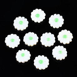 Hellgrün Natürlichen Süßwasser-Muschelperlen, mit Emaille, Blume, hellgrün, 12~13x3~4 mm, Bohrung: 0.9 mm