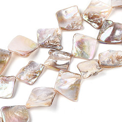 Морская Ракушка Нити бусин из натуральных пресноводных ракушек цвета ab, самородки, цвет морской раковины, 15~29x15~30.5x4~13 мм, отверстие : 0.5~0.6 мм, около 15~18 шт / нитка, 14.37~15.55'' (36.5~39.5 см)