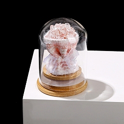 Хрусталь Украшения для витрины из арочной стеклянной банки с букетом из кристаллов натурального кварца внутри, подарок бутылке желаний для женщины, 52x76 мм