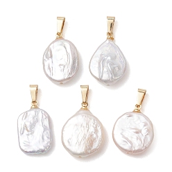 Mixed Shapes Подвески из натурального барочного жемчуга кеши, Прямоугольные плоские круглые подвески в форме капли в виде монет с защелкивающимися креплениями из нержавеющей стали., белые, золотые, разнообразные, 304 мм, отверстие : 21~22x14~16x4~6 мм