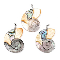 Лимонный шифон Подвески из натуральных ракушек пауа, черных ракушек-губоносок и желтых ракушек, подвески в форме раковины с латунными дужками, платина, стойки покрытие, лимонный шифон, 41.5~43.5x33.5~34.5x3.5~4.5 мм, отверстие : 4.5x4 мм