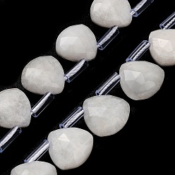 Rainbow Moonstone Бусины из натурального радужного лунного камня, Грановитая Teardrop, с пластиковыми трубчатыми бусинами, 12x12~12.5x5.5~6 мм, отверстие : 1 мм, около 28 шт / нитка, 15.75 дюйм (40 см)