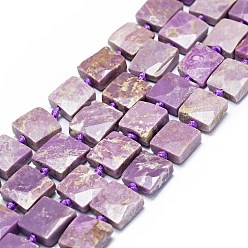 Phosphosiderite Натуральные фосфосидеридные бусины, граненые, квадратный, 11~12x10~11x5~7 мм, отверстие : 0.9 мм, около 28 шт / нитка, 15.94 дюйм (40.5 см)