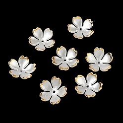 Белый 5-лепестковые колпачки для бусин из АБС-пластика с имитацией жемчуга, цветок, с золотым краем, белые, 18x5.5 мм, отверстие : 1.5 мм, Около 1219 шт / 500 г