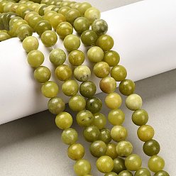 Светло-зеленый Коричневый Природный драгоценный камень, Тайвань нефрита, природная энергия камень целебная сила для изготовления ювелирных изделий, круглые, оливковый, 8 мм, отверстие : 1.5 мм, около 46~48 шт / нитка, 15~16 дюйм