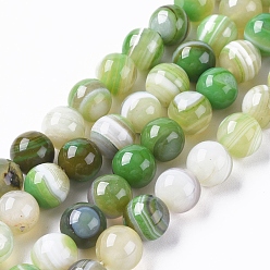 Лайм Натуральные полосатые агатовые / полосатые агатовые бусинки, окрашенная и подогревом, круглые, желто-зеленые, 10 мм, отверстие : 1.2 мм, около 37 шт / нитка, 14.65 дюйм (37.2 см)