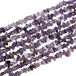 Amethyst Natürlichen Amethyst Chip-Perlen-Stränge, gefärbt, 5~8x5~8 mm, Bohrung: 1 mm, ungefähr 31.5 Zoll, 4strand / box