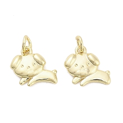 Собака Латунь прелести, долговечный, стойки покрытие, без свинца и без кадмия, ионное покрытие (ip), с целью перехода в кольце, реальный 18 k позолоченный, собака, 9.5x9.5x2 мм