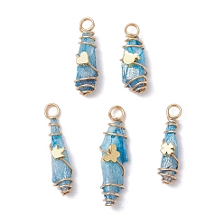 Светло-Голубой 5шт 5 стили гальванические подвески из натуральной кварцевой медной проволоки, слезинки, с латунной бисера, золотые, Небесно-голубой, 25~37x6~13 мм, отверстие : 3.5~4 мм, 1 шт / стиль