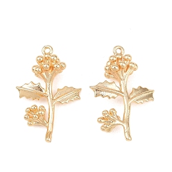 December Holly Латунные подвески, , золотые, Декабрь Холли, 22x14.5x6 мм, отверстие : 1 мм