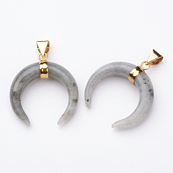 Лабрадорита Природные подвески лабрадорита, с фурнитурой латунной золотого тона, двойной рог / полумесяц, 35x32x10 мм, отверстие : 4.5x8 мм