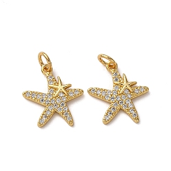 Морская звезда Латунные микро проложить кубического циркония подвески, морские животные, с целью перехода в кольце, стойки покрытие, долговечный, без свинца и без кадмия, реальный 18 k позолоченный, морская звезда, 15x14x1.5 мм, отверстие : 3.5 мм