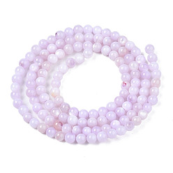 Plum Natural Freshwater Shell Beads Strands, Dyed, Round, Plum, 2.5mm, Hole: 0.5mm, about 122~136pcs/strand, 14.57 inch~15.63 inch(37cm~39.7cm)