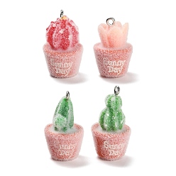 (52) Непрозрачная лаванда Подвески из непрозрачной смолы, кактус со словом солнечный день, с платиновыми тоновыми железными петлями, разноцветные, 25.5~32.5x17 мм, отверстие : 2 мм