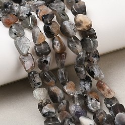 Лунный Камень Натуральный лунный камень бисер нитей, самородки, 8~15x8~10x5~8 мм, отверстие : 1 мм, около 41~44 шт / нитка, 15.04~15.55'' (38.2~39.5 см)