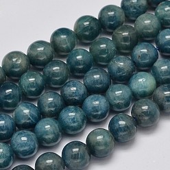 Apatite Round Natural Apatite Beads Strands, Grade AB+, 8mm, Hole: 1mm, about 51pcs/strand, 15.7 inch